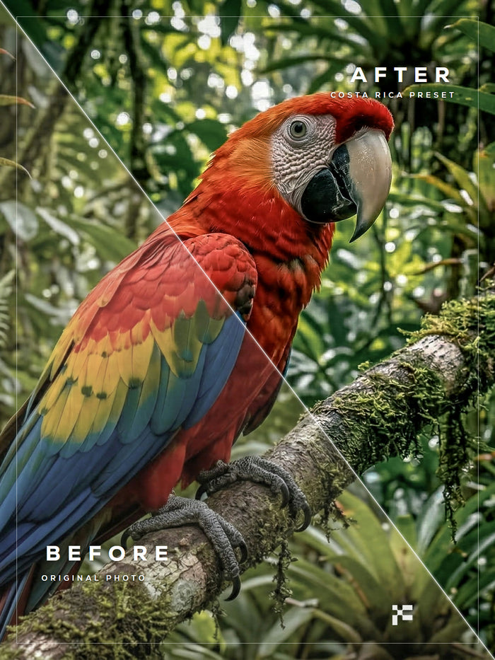Costa Rica