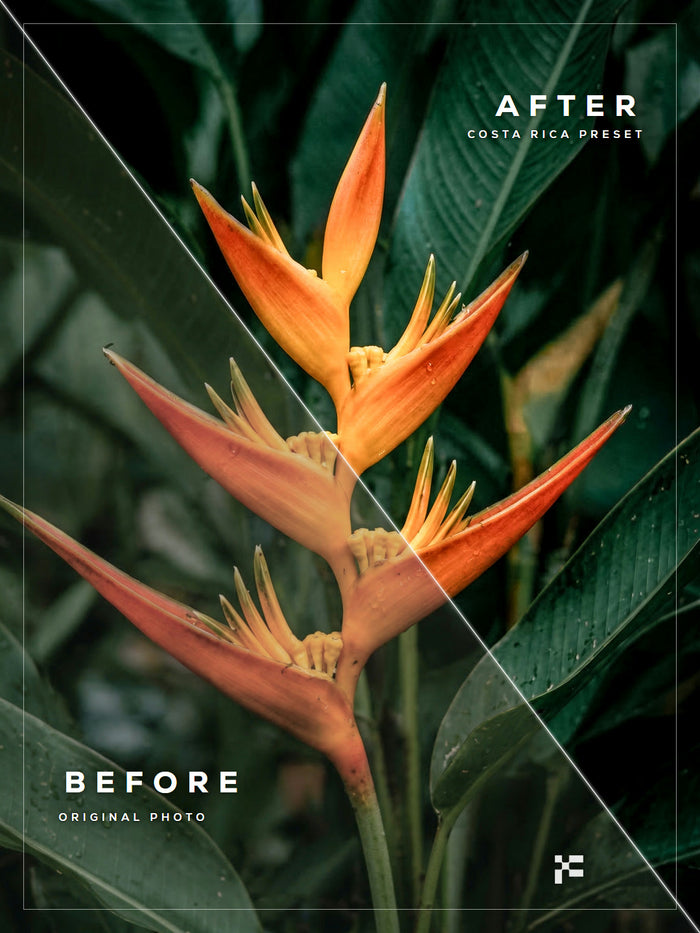 Costa Rica