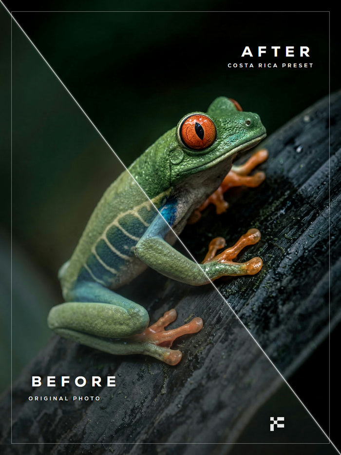 All Inclusive