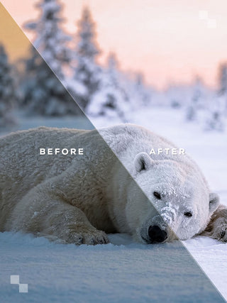 Pack DISCOVERY 40 presets