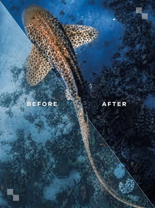Puerto Escondido Lightroom Preset