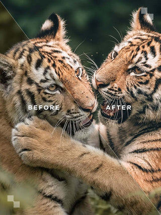 India Lightroom Preset