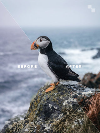 Iceland Lightroom Preset