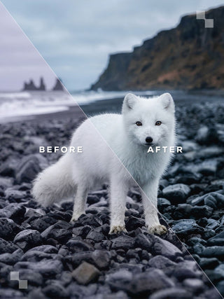 Iceland Lightroom Preset