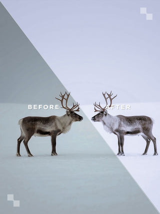 Lapland Lightroom Preset