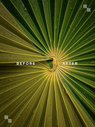 Tulum Lightroom Preset