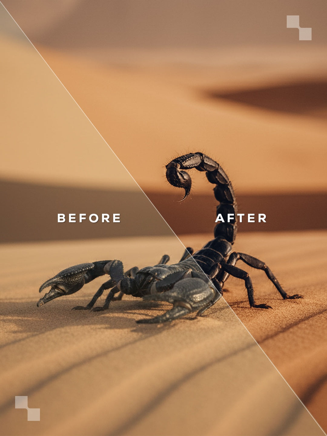 Sahara Lightroom Presets
