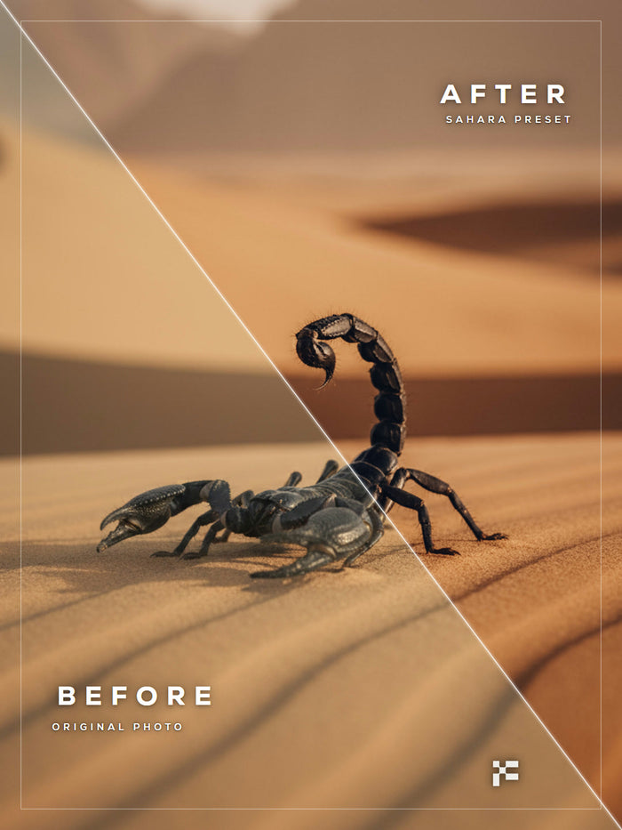 Sahara