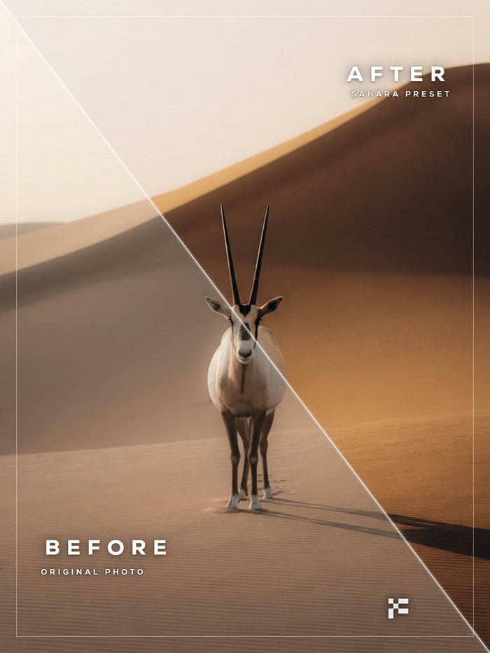 Sahara
