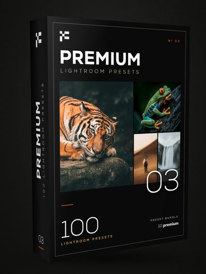 The Premium Bundle – Lightroom Presets