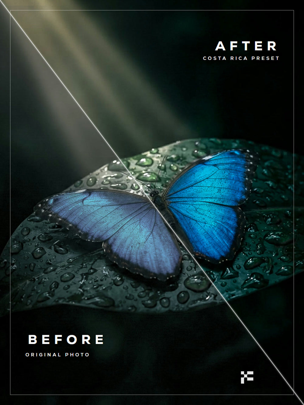 Costa Rica Lightroom Presets