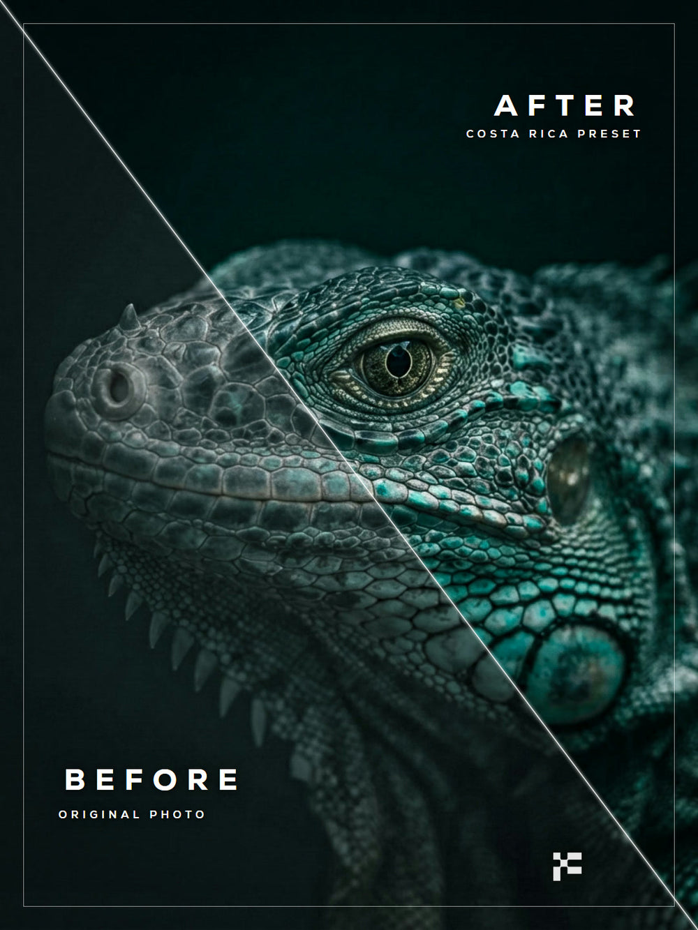 Costa Rica Lightroom Presets