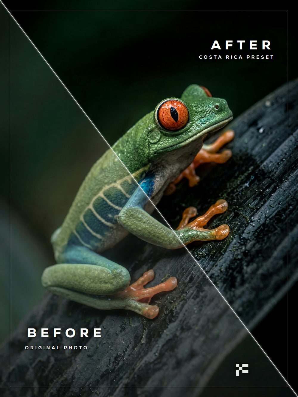 The Discovery Bundle – Lightroom Presets