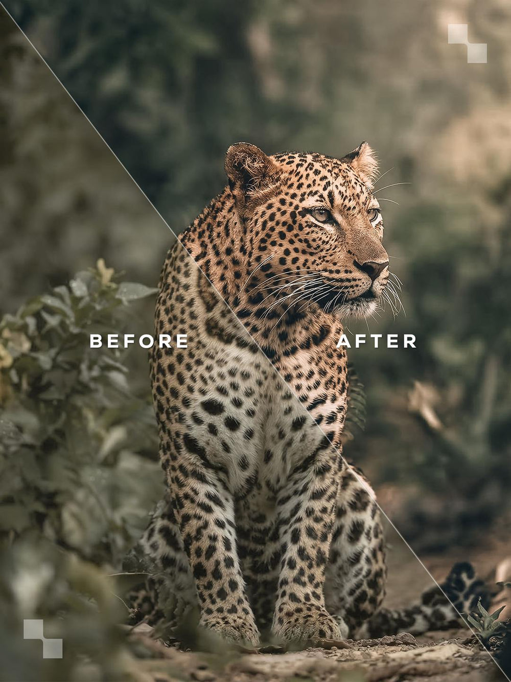 All Inclusive Bundle - Lightroom Presets