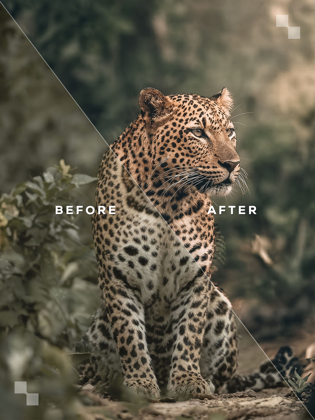 The Premium Bundle – Lightroom Presets