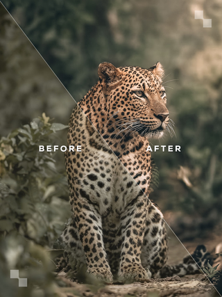The Premium Bundle – Lightroom Presets