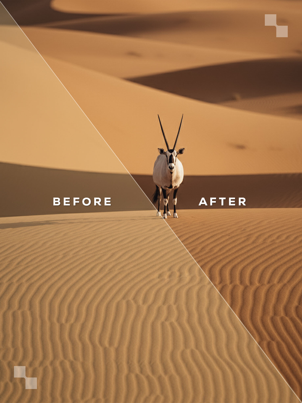 The Premium Bundle – Lightroom Presets