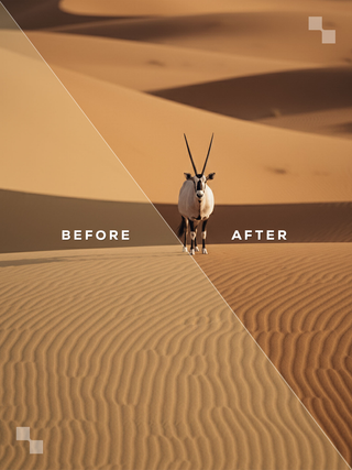The Premium Bundle – Lightroom Presets