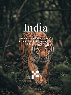 India Lightroom Presets