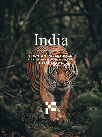 India Lightroom Presets