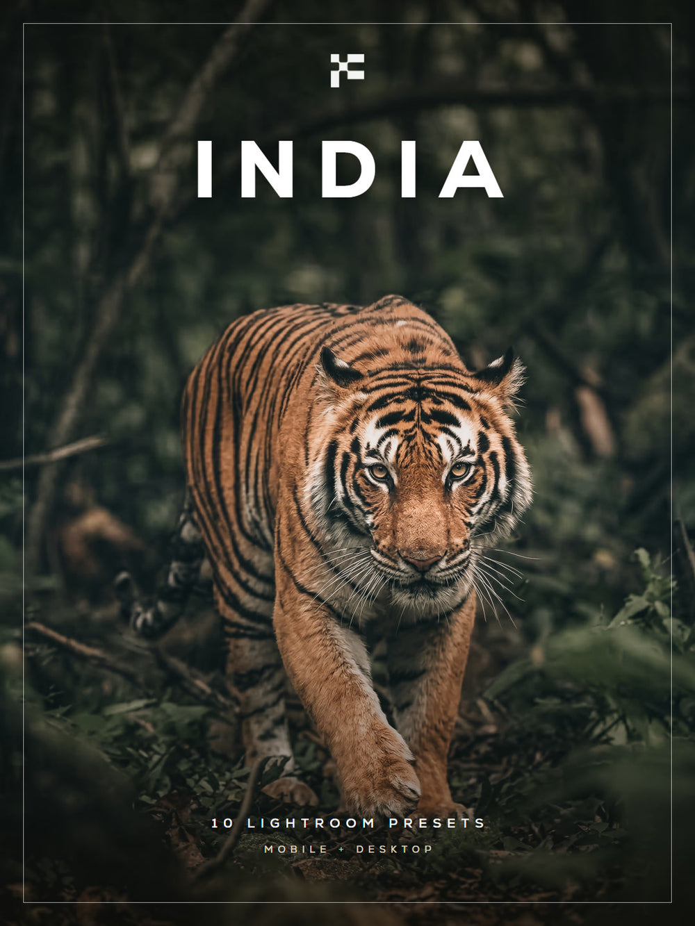India Lightroom Presets