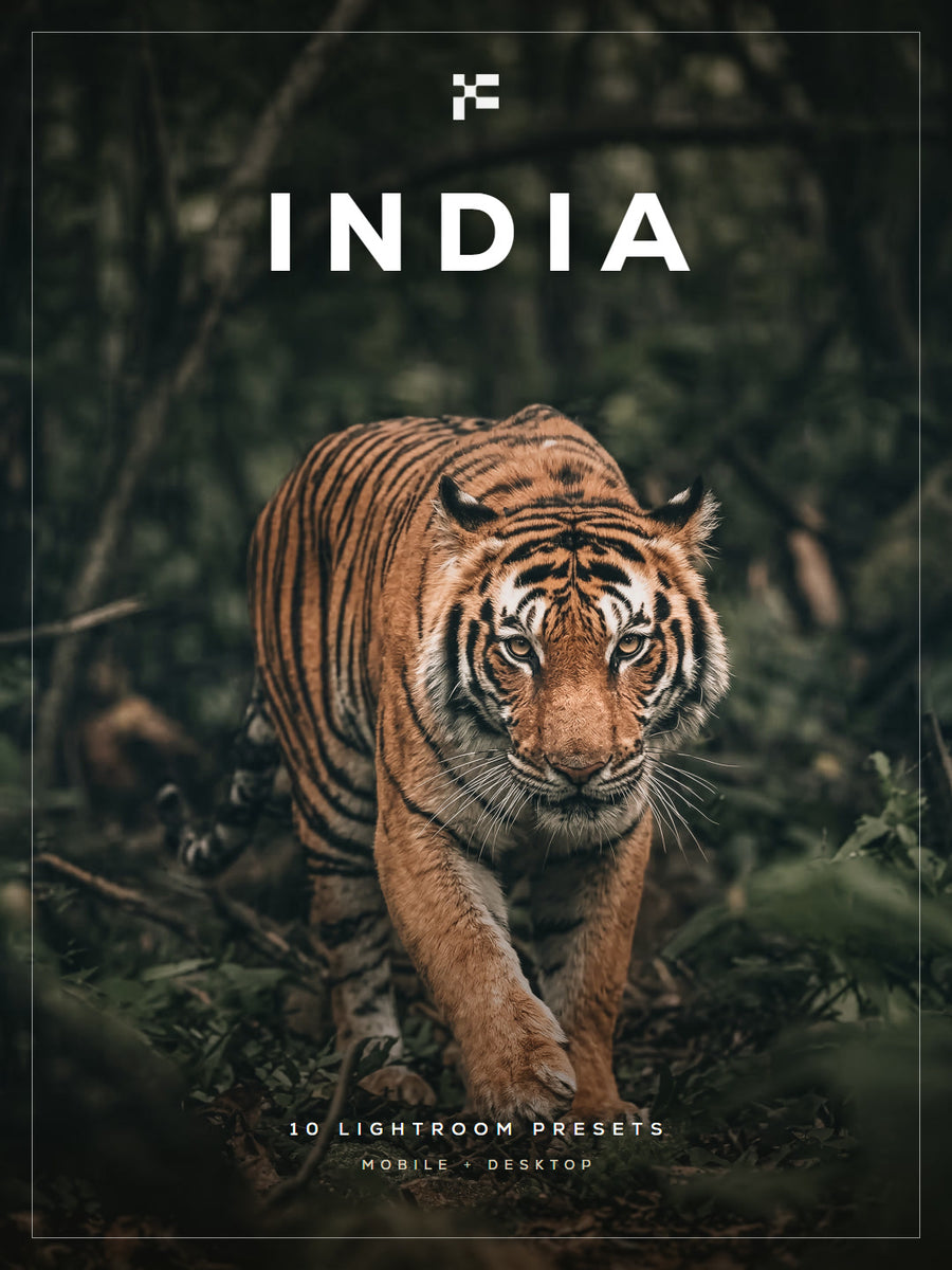 India Lightroom presets
