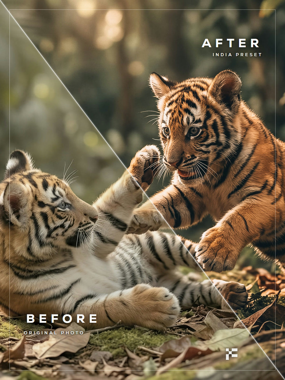 India Lightroom Presets