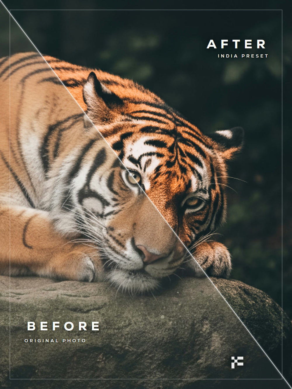 India Lightroom Presets