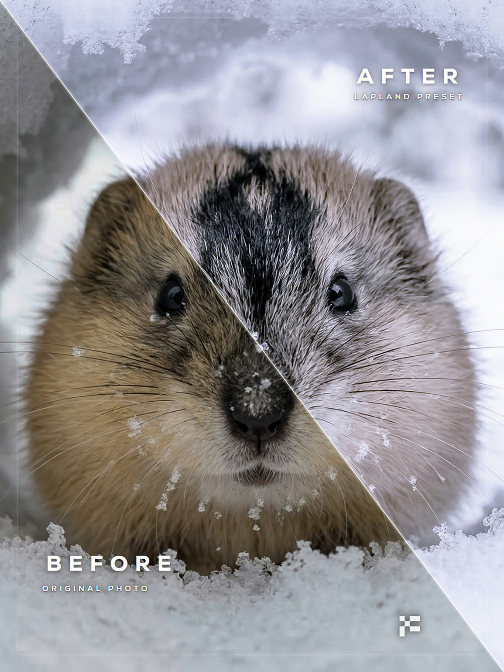 Lapland Lightroom Presets