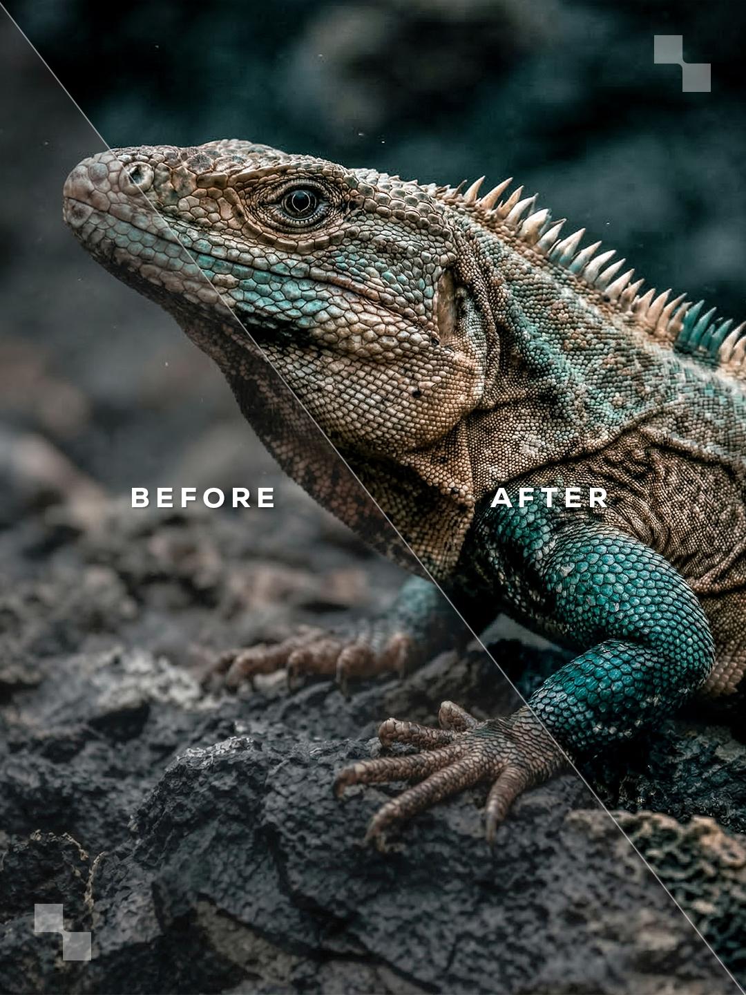 Costa Rica Lightroom Presets