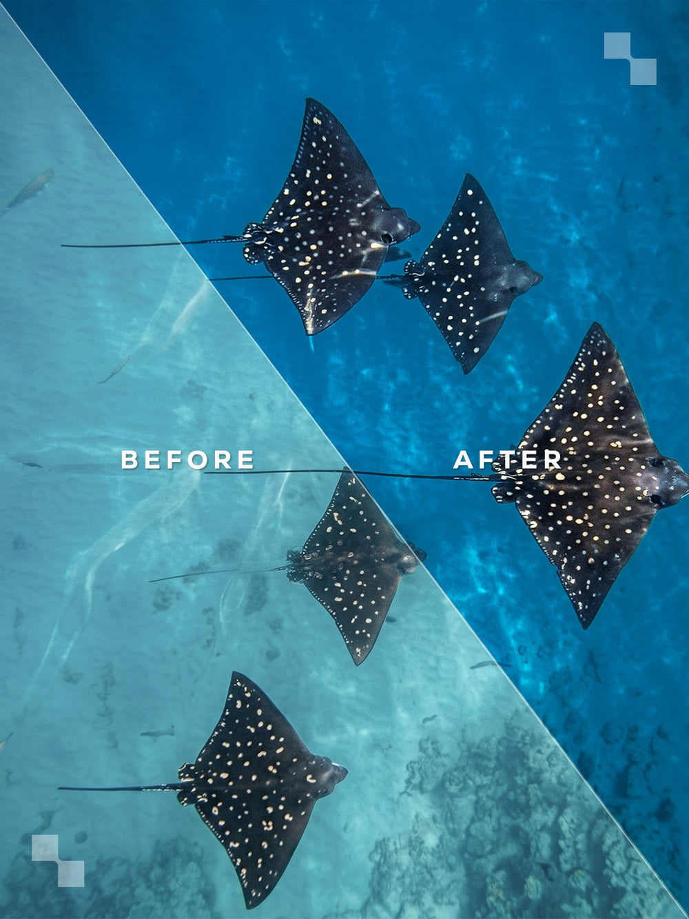 Puerto Escondido Lightroom Presets