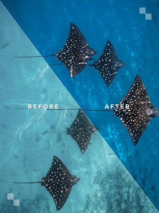 Puerto Escondido Lightroom Preset