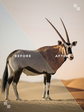 Sahara Lightroom Preset