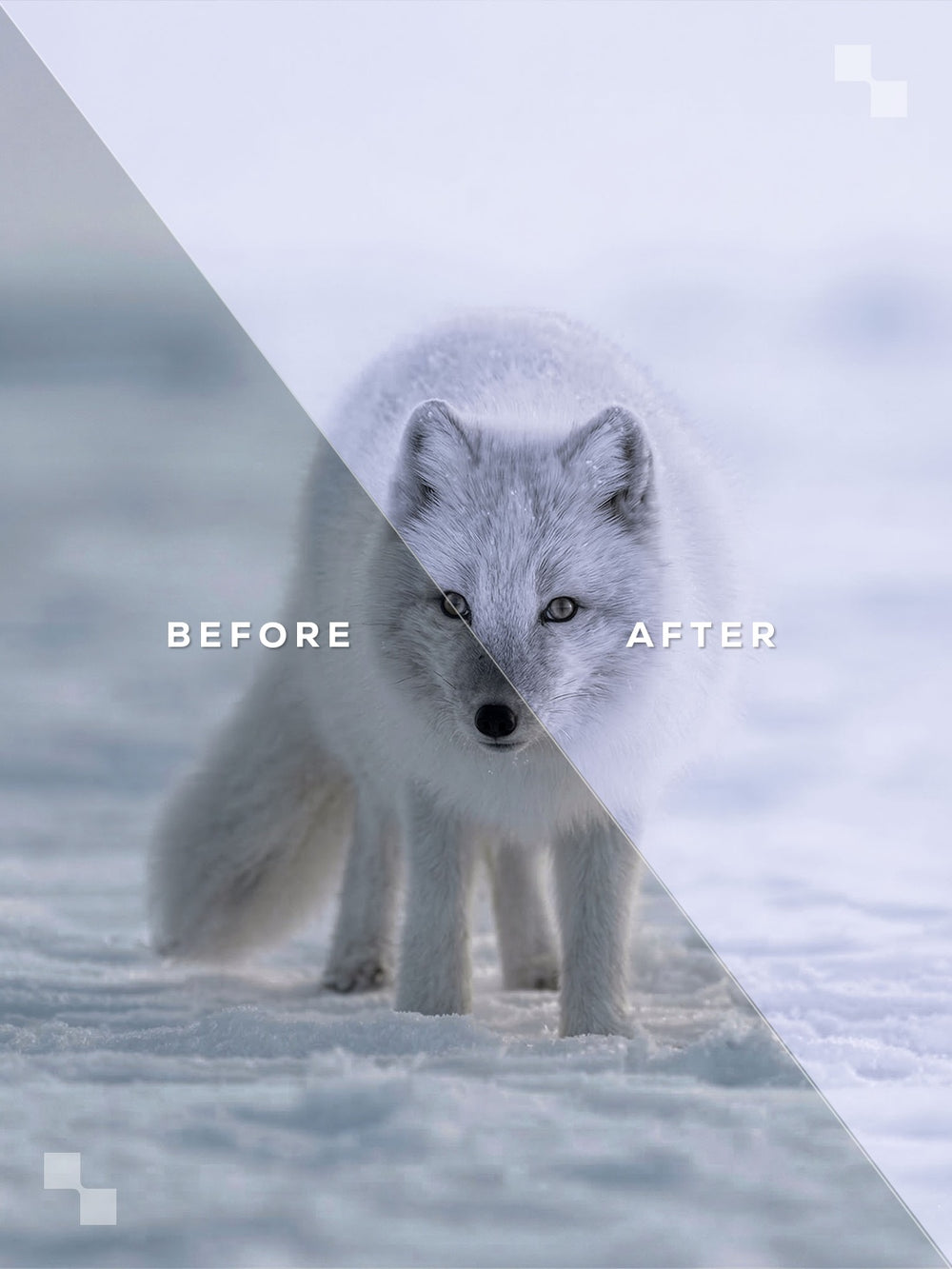 Lapland Lightroom Presets