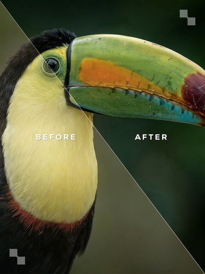 Costa Rica Lightroom Presets
