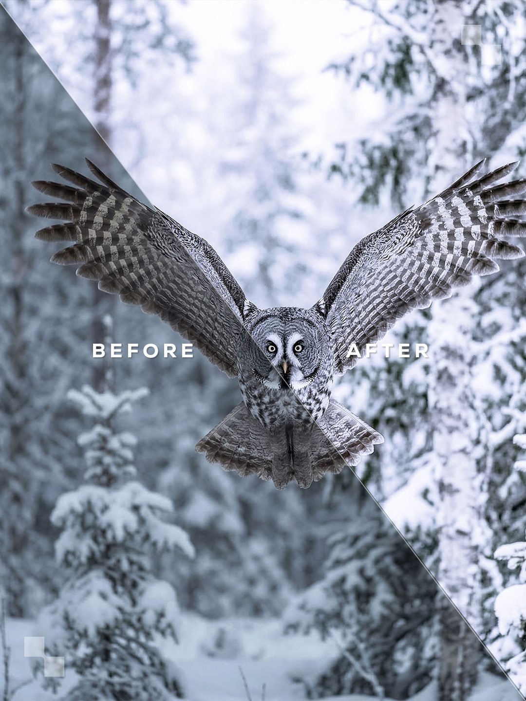 Lapland Lightroom Presets