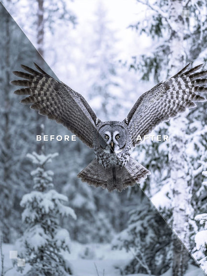 Lapland Lightroom Presets