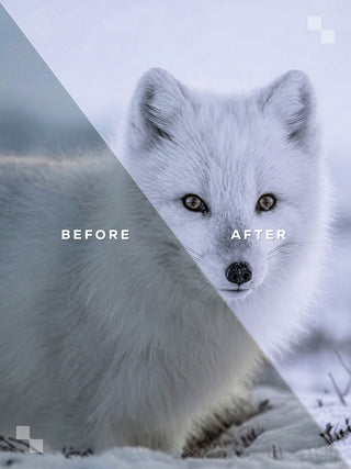 Lapland Lightroom Preset