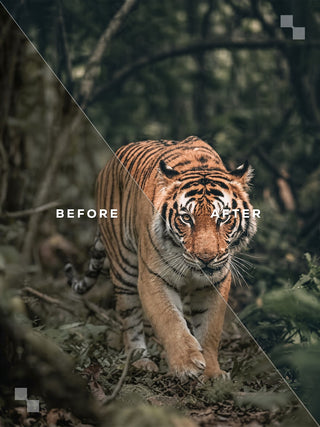 The Premium Bundle – Lightroom Presets