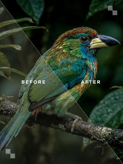 Costa Rica Lightroom Presets
