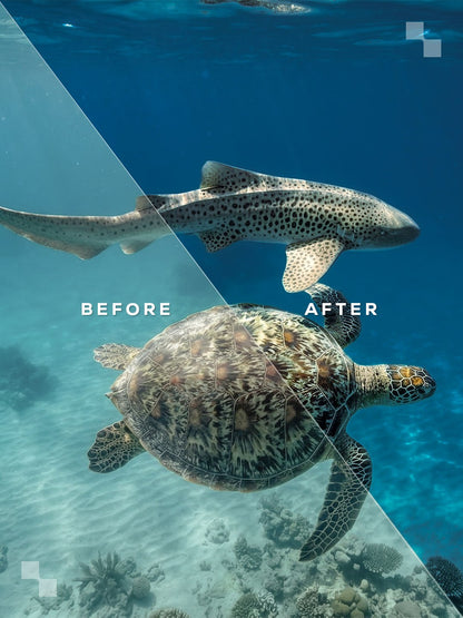 Puerto Escondido Lightroom Presets