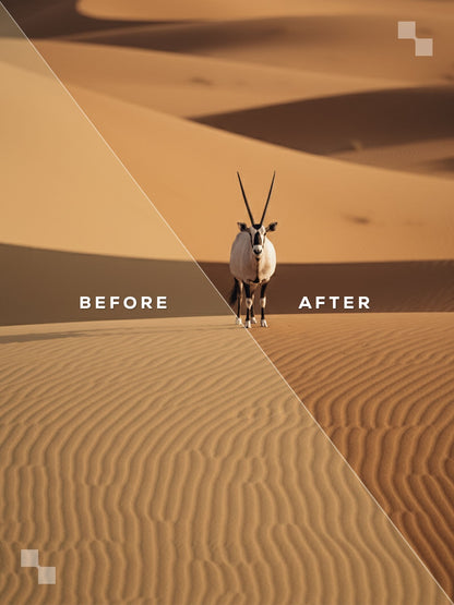 Sahara Lightroom Presets