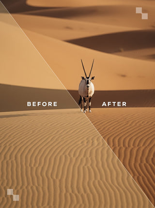 The Premium Bundle – Lightroom Presets