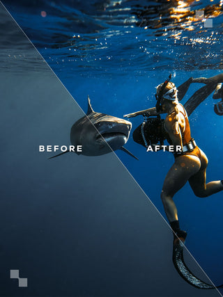 The Premium Bundle – Lightroom Presets