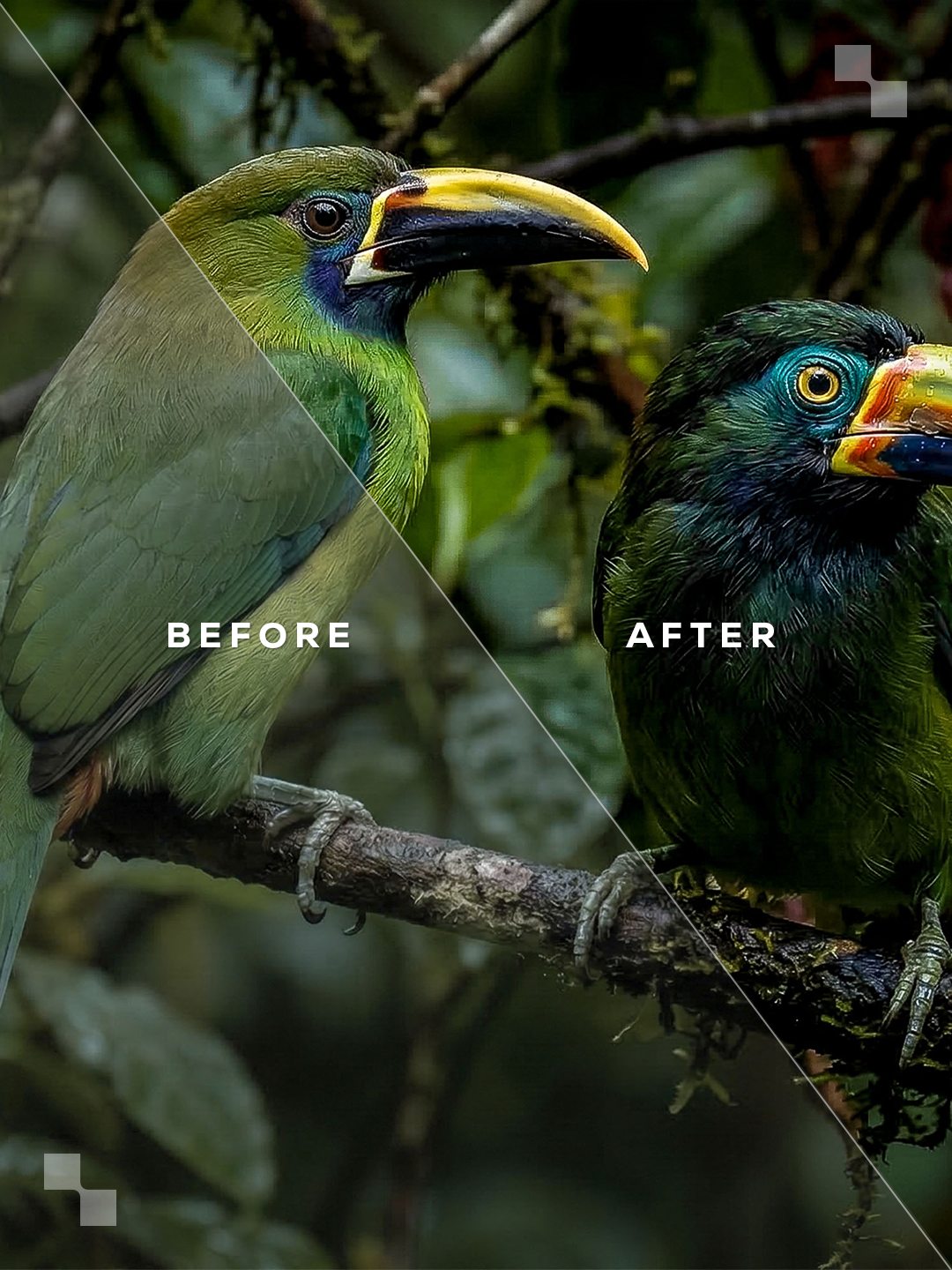 Costa Rica Lightroom Presets