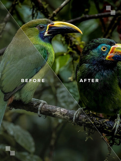 Costa Rica Lightroom Presets
