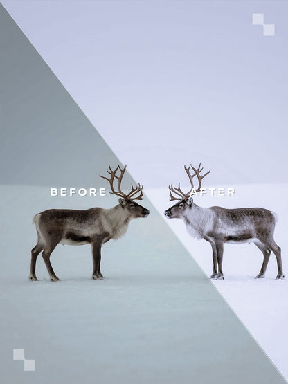 Lapland Lightroom Presets