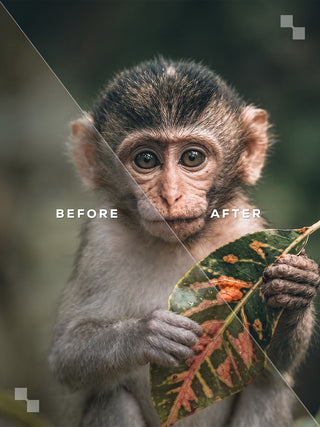 India Lightroom Preset