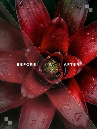 Costa Rica Lightroom Preset