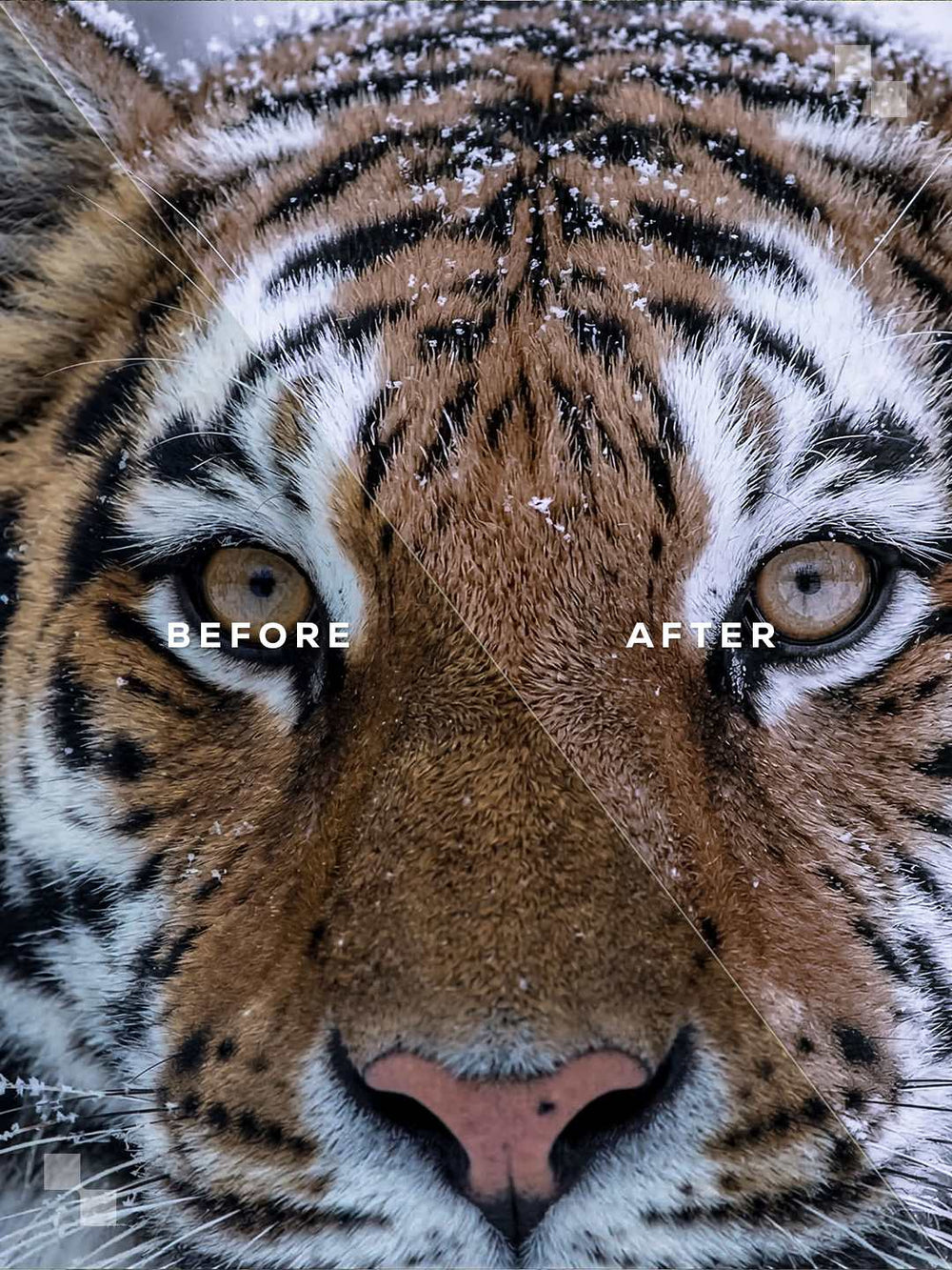 Lapland Lightroom Presets